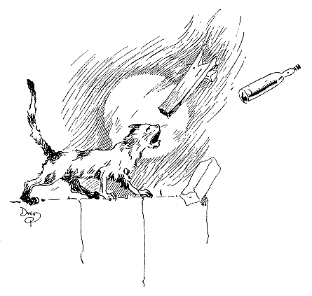 Dwig illustration of cat